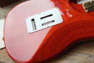 FGN "Expert Odissey Ripe Kaki Gradiation" HARDCASE