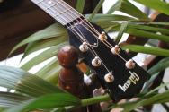 GIBSON "J- 45 VS" (2019), HARDCASE, PAPERS