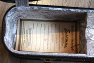 EASTMAN "E6 E6SS Thermo-Cure, Sunburst" HARDCASE