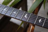 PRS "USA John Mayer Silver Sky Dodgem Blue" GIGBAG