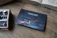DSM & Humboldt Electronics "Dumblifier Overdrive Special"