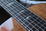 EASTMAN "Limited 2026 L-OOSS-KOA" HARDCASE