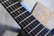 MARTIN "CEO-7 Custom & Special Editions, 00-14 Fret Slope Shoulder" HARDCASE