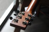 MARTIN "CEO-7 Custom & Special Editions, 00-14 Fret Slope Shoulder" HARDCASE