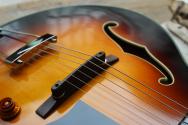 EASTMAN "AR405 P90/TV Sunburst" GIGBAG