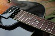 EASTMAN "AR405 P90/TV Sunburst" GIGBAG