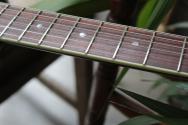EASTMAN "AR405 P90/TV Sunburst" GIGBAG