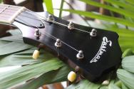 EASTMAN "AR405 P90/TV Sunburst" GIGBAG