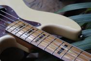 SIRE"Marcus Miller V5 , 4 Strings, Vintage White" 4, 32 KG