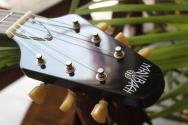 MAYBACH "Jetwing M Goldburst" HARDCASE, PAPERS, 2, 9 KG