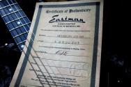 EASTMAN "SB55DC/TV Limited Edition Olive Drap" HARDCASE, 2, 86 KG