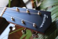 EASTMAN "E1SS-Sunburst" GIGBAG, PAPERS