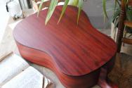 EASTMAN "E1SS-Sunburst" GIGBAG, PAPERS