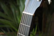 EASTMAN "E1SS-Sunburst" GIGBAG, PAPERS