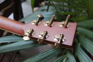 FURCH "Vintage 2 OM SR" HARDCASE