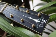 FURCH "Vintage 2 OM SR" HARDCASE