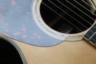 FURCH "Vintage 2 OM SR" HARDCASE