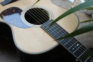 FURCH "Vintage 2 OM SR" HARDCASE