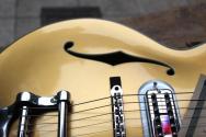 EASTMAN " NEW MODEL T58 Gold" GIGBAG, PAPERS