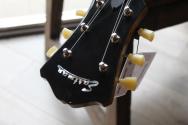 EASTMAN " NEW MODEL T58 Gold" GIGBAG, PAPERS