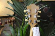 EASTMAN " NEW MODEL T58 Gold" GIGBAG, PAPERS
