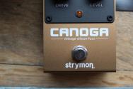 STRYMON Canoga Vintage Silicon Fuzz Gold / Black