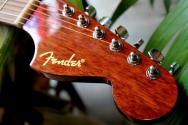 FENDER "Limited Edition California Standard Monterey, Natural Sapele"