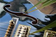 GRETSCH "G6136TG-58 Limited Edition 1958 Custom Falcon™ with Bigsby, Ebony Fingerboard, Emerald Night" HARDCASE , PAPERS