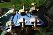 GRETSCH "G6136TG-58 Limited Edition 1958 Custom Falcon™ with Bigsby, Ebony Fingerboard, Emerald Night" HARDCASE , PAPERS