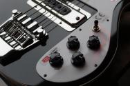 Rickenbacker "4003 Black" HARDCASE