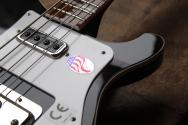 Rickenbacker "4003 Black" HARDCASE