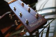 MARTIN D-28, Golden Era, HARDCASE
