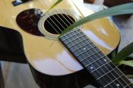 EASTMAN "E10OO Thermo-Cure"