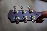 GODIN "5th Avenue Kingpin P90 DLX Vintage Burst HG" 2, 30 KG