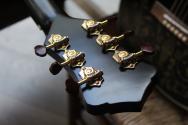 RECORDING KING Justin Townes Earle Signature Model Guitar
