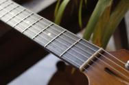 EASTMAN "New Model Kauffmann Offset Vintage"GIGBAG, 3,31 KG