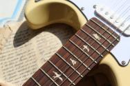 PRS "SE John Mayer Silver Sky, Moon White"