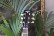 MAYBACH "Lester 53-3 Wild Cherry Aged" HARDCASE, 3, 7 KG