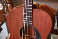 MARTIN 000-15 M, with Martin Gigbag