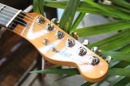 FENDER Player II Telecaster,Rosewood, Aquatone Blue, 3, 71 KG