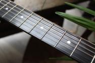 MATON "Tommy Emmanuel EBG808 Sunburst 30TH Anniversary" HARDCASE