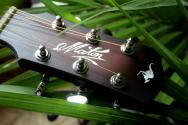 MATON "Tommy Emmanuel EBG808 Sunburst 30TH Anniversary" HARDCASE