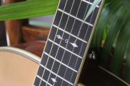 FURCH "Exotic Limited Series Vintage 2 OM-SX a Mexican Granadillo" HARDCASE