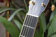 FURCH "Exotic Limited Series Vintage 2 OM-SX a Mexican Granadillo" HARDCASE