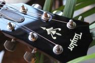 TAYLOR "514ce" HARDCASE