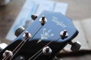 TAYLOR "514ce" HARDCASE