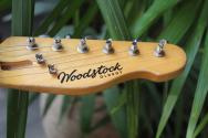 WOODSTOCK "Old Boy T Olympic White" HARDCASE, 3, 78 KG