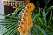 FENDER "American Professional Classic Stratocaster Fade Firemist Gold" GIGBAG, 3, 46 KG