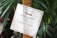 FENDER "American Professional Classic Stratocaster Fade Firemist Gold" GIGBAG, 3, 46 KG