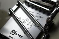 BURNS "Hank Marvin 40th Anniversary" HARDCASE, PAPERS, 3, 85 KG